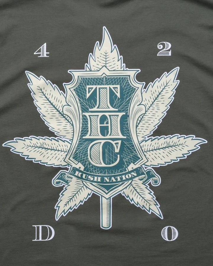 Camiseta Oversize Nation - Imagen 2
